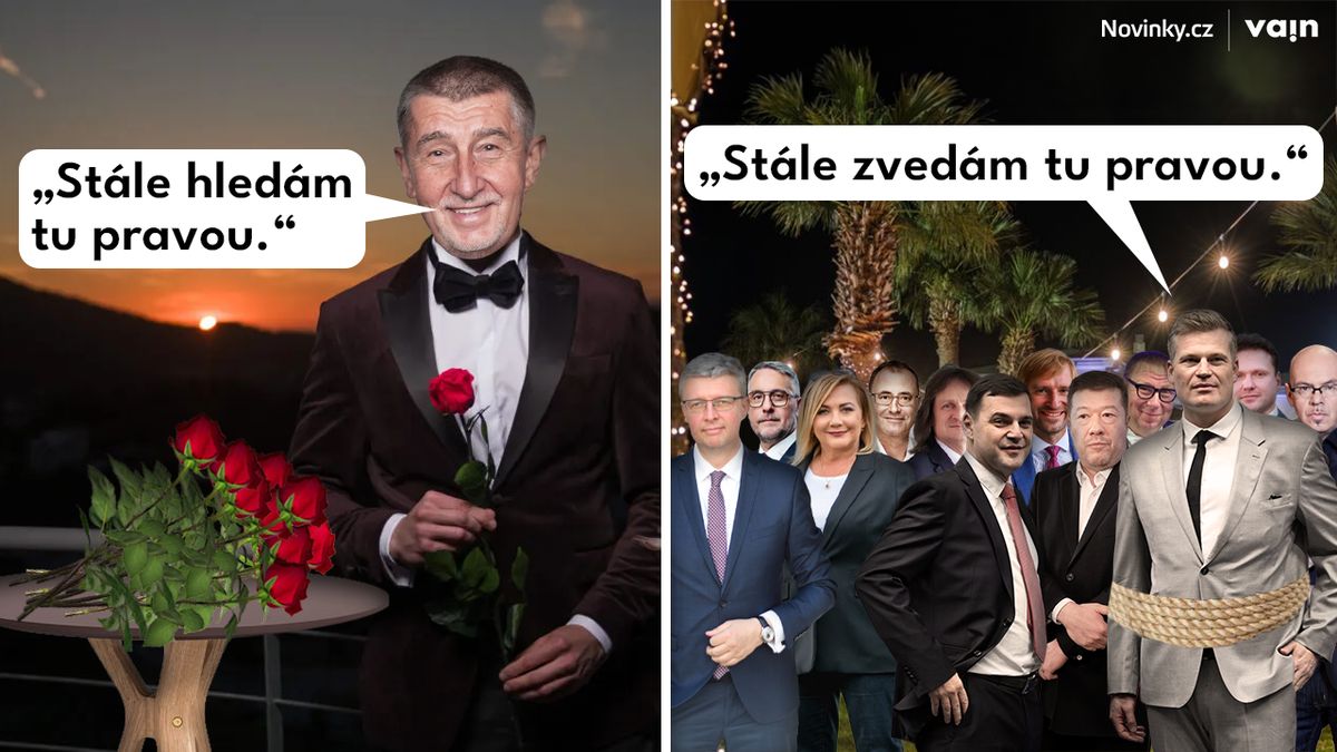 Babiš hledá tu pravou. Kdo dostane růži a komu zbyde trn v patě?